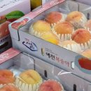 순풍과일나라
