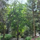 구갈로28번길 이미지