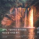 2020-666 | 제주도 가볼만한곳 천지연폭포 비오는 날 다녀온 후기(관람료, 야간개장시간)