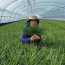 까미농장 이미지