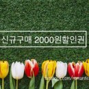 매로빈 이미지