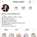 살롱드미뇽