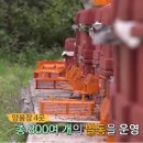 선비벌꿀영농조합법인 이미지