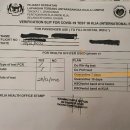 격리7일위한 pcr영문결과지 업데이트 이미지