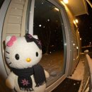 양푼속쪽갈비매워 이미지