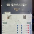픽미픽미아이스제주