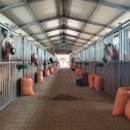 거창 오로라 승마장 이미지