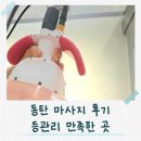 스킨에비뉴 | 동탄 피부관리 추천 루체스킨케어 등관리 후기