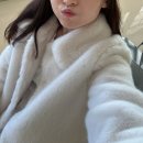 위윈트 | 가내스라 퍼자켓 핏, 퍼자켓 구매 후기 윈트 퍼 자켓