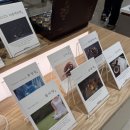 롯데강남바라기한약국 이미지