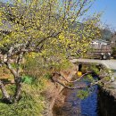 정겨운 마을 | [구례 여행] 우리 나리 2대 명당, 운조루 고택과 기와 돌담길이 아름다운 오미마을 산책