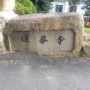 선달바우 이미지