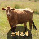 간지1985