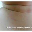 진이컴퍼니 이미지