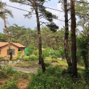 아빠가 만든 캠핑장 이미지