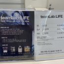 라이프꽃방 | [서울전시회] 팀랩 라이프(teamLab: LIFE) 후기/추천/사진 찍는 꿀팁