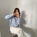 바이쑤