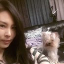 발한로 이미지