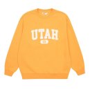 소이 카카오 검색결과