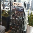 주식회사 으뜸자동차 이미지