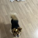 바다사랑 민박 이미지