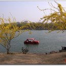 호수자동차 이미지