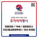 주마여행사