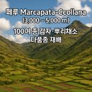 고원농장 이미지