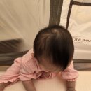서10-405 이미지