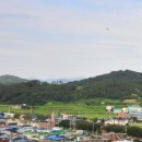 남계 이미지