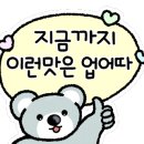 담양愛꽃 이미지