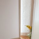 하일리영어