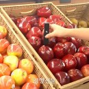 당도 - 춘천시 충혼길18번길 1 | 당도
