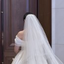 임실크헤어 네이버블로그