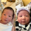 [참사랑어머니회 남인천지점] 산후도우미 2주 솔직후기 내돈내산