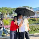 엠.유.비.유.티.샵(M.U.B.U.T.#) | [에버랜드] 🎡화창한 5월의 에버랜드 할인, 주차, 불꽃놀이까지