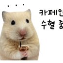 컴포즈커피서대전네거리점 이미지