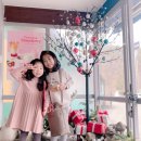 이디야광릉수목원점 이미지