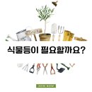 장훈농장 | 식물등 효과 있나요? 식물등추천 장훈농장tv에 나온 식물등 구매 후기