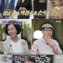인생술집 이미지