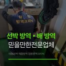 국제방역 - 여수시 연등7길 6 | 국제 항해 선박 방역 현장! 빈대부터 바퀴벌레까지 완벽박멸후기