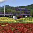 용대관광지2 이미지