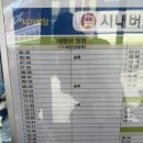 [전북/정읍]혼자여행 뚜벅이 여행 코스 추천! 171번 버스로 내장산 케이블카 타러 슝 버스시간표 완벽정리