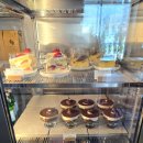 세종시립도서관 | 세종 고운동 시립도서관 커피 맛집 스위치커피 솔직후기