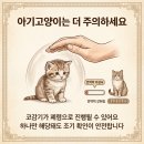 올스타동물의료센터 이미지