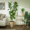 대한종합인테리어 이미지