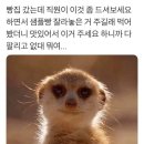 브이투 이미지