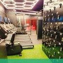 종로청운스포렉스 피트니스센터 이미지