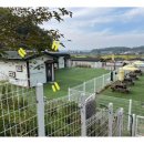 아임버디B 이미지