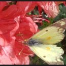 낙동강변20 이미지